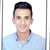 Moamen Farid
