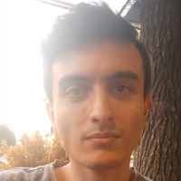 Oğuzhan Kesim