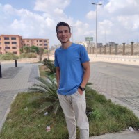 Malek Anas
