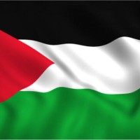 🇵🇸Hifza Begum