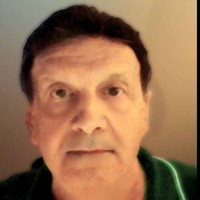 Domenic Landi