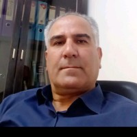 Mojtaba karimi