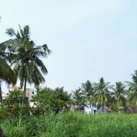 Vijayantany Vijayantany