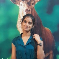 Daneshwari Hatti