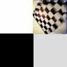 Mike NASCAR Fan View