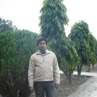 Satish Rai