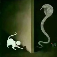 张文兴