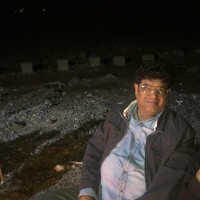 amer pasha