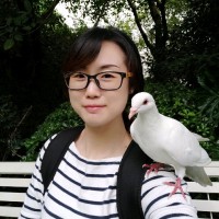 Changyu Zeng