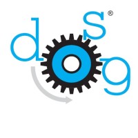 DGS SRL