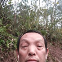 蒋德林