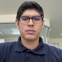 David Enrique Vasquez Cinco