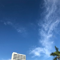 谢映静