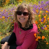 Paula Van Winkle