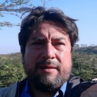 Luis Monterroso