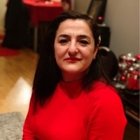 Beian Wida Valizadeh