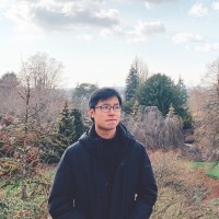 Minh Phi