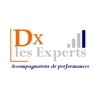 ldx les experts