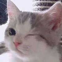 김이수