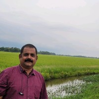 Sreesajith Sreekantannair