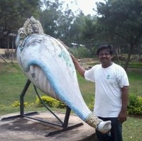 Balu Bhandaribalu