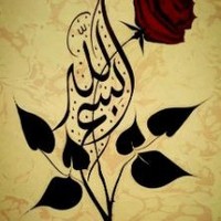 Shakeel Raja