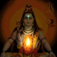 Pardeep Kumar