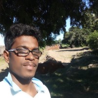 Udhayakumar B