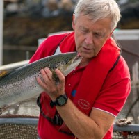 FISH FOR NORWAY