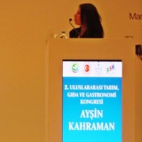 Ayşin Kahraman Avcı