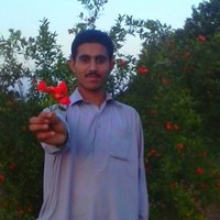 Uzair Ail