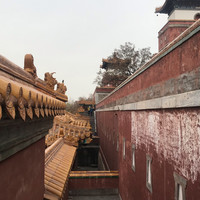 Fangyu Liu