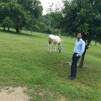 Ramesh Kumar Singh