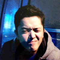Hong Lu