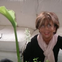 Ann Lundbom