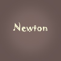 newton hoidi