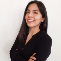 Yessenia Mamani Villalobos
