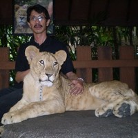 Benny Sutandi