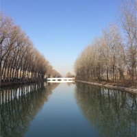 王海红