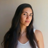 Tal Yadidi