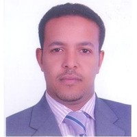 Hamed M. Ali Hussein