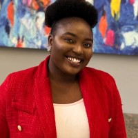 Opeyemi Bode-Akesinro