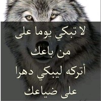 Youssef Alla