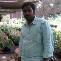 Syambabu Chowdary Bodduluri