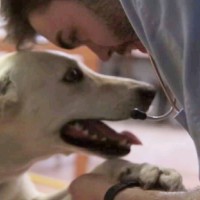 Jesús I. Gil Chinchilla