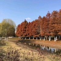 汪永飞