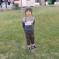 Ghazal m