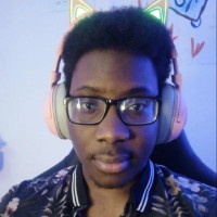 Tolu Ogbaro