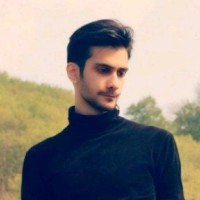 Hamed Elhami