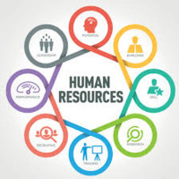 Bentsys - Information Technology and Services